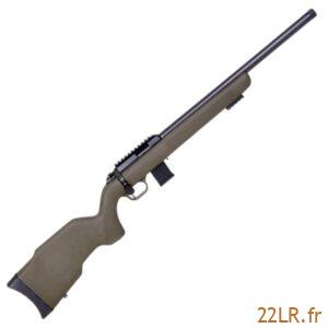 Carabine 22 LR Diana R22 Carbone