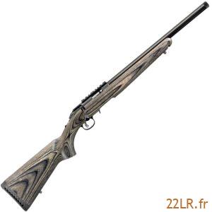 Carabine 22LR Ruger American Rimfire Target Et Accessoires