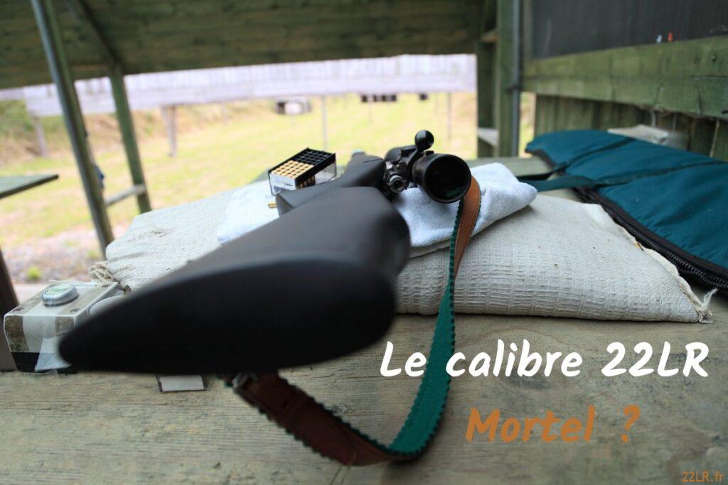 22 long rifle mortel